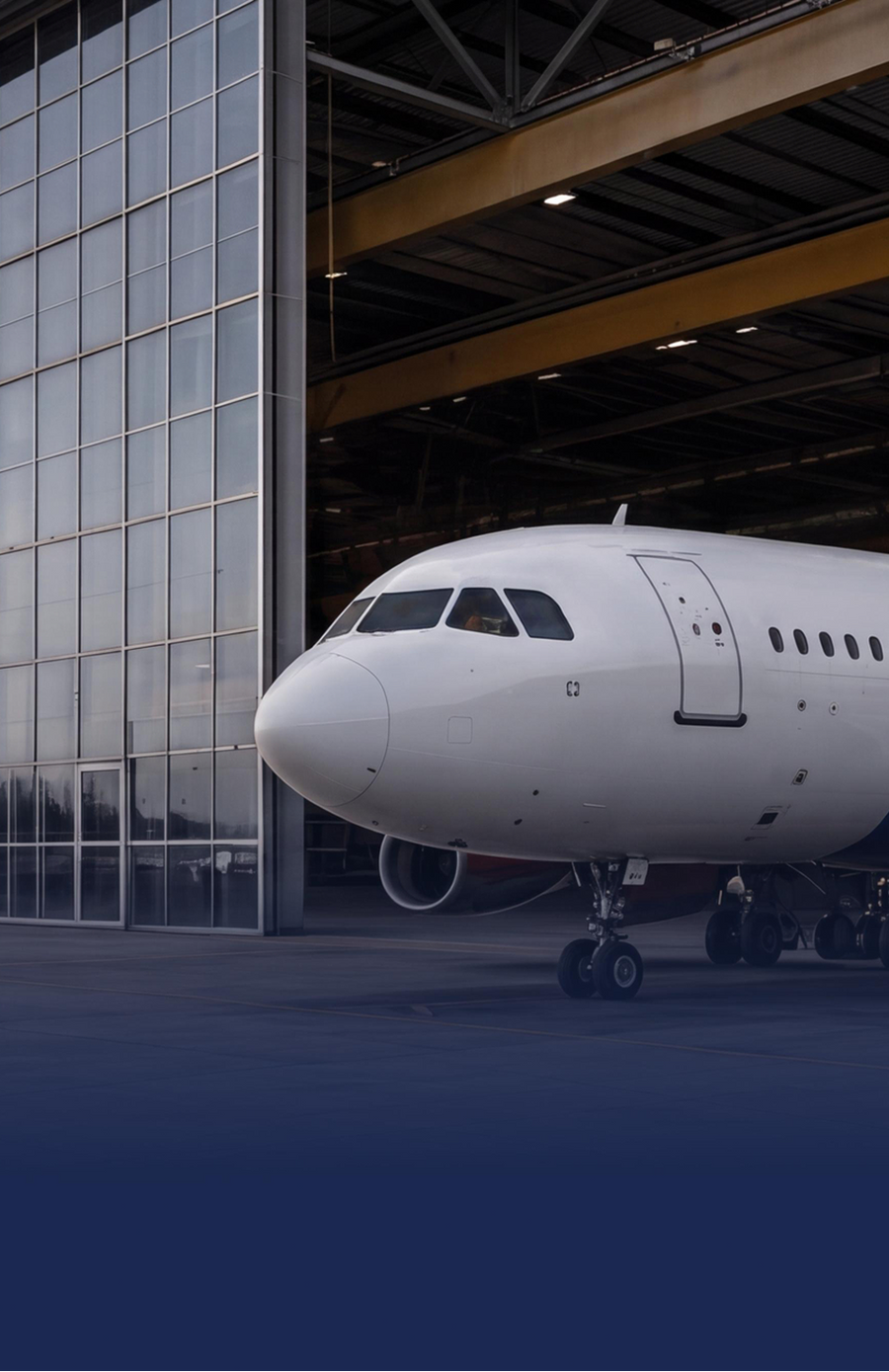 Air Serbia